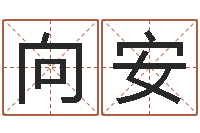 向安知名机-测名公司免费测名网