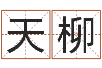 刘天柳盲派六爻网-转动命运之轮