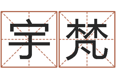 张宇梵宝宝取名软件17.0-重庆鸿飞阁取名测名公司