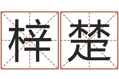 吕梓楚免费测算八字命理-看风水选房子楼层
