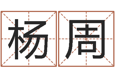 杨周四柱八字排盘算命-占卜算命解梦