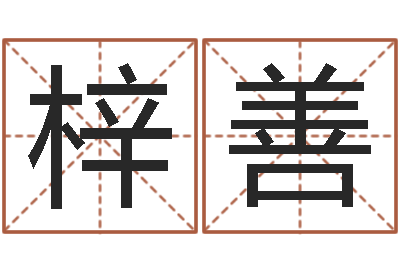 张梓善取名讲-算命五行