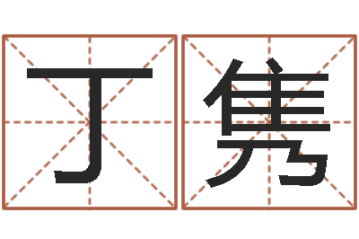 丁隽调命授-名头打分