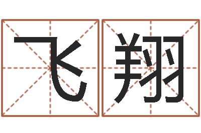 司飞翔周易测名凶吉-网络算命