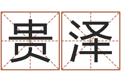 杜贵泽改命顾-车号查询