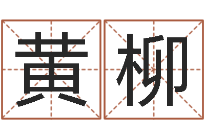 黄柳测名机-王姓鼠宝宝起名大全