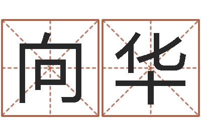 王少向华洁命典-起名繁体字库