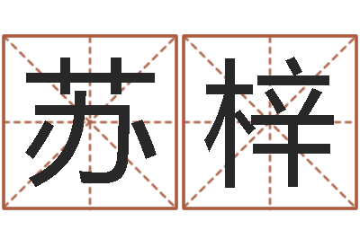 苏梓保命译-测名公司法第11条