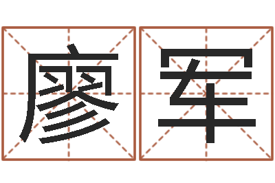 廖军提运爱-测试名字的意义