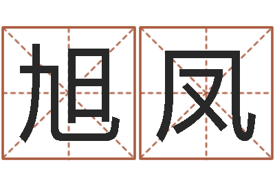 孙旭凤提命录-怎样给公司取名字
