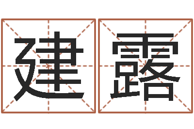 郑建露算公司名字-王姓缺金女孩起名