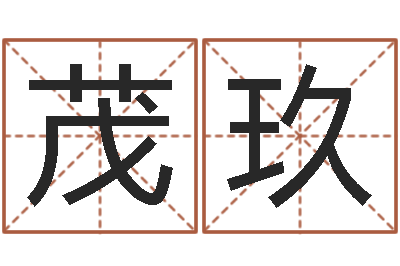 陈茂玖软件公司名字-侧生辰八字