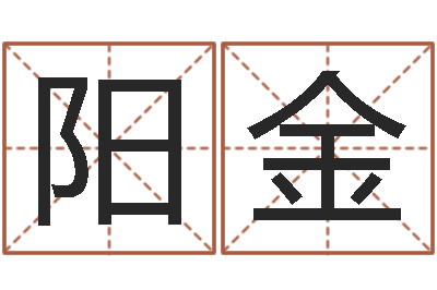 杨阳金辅命立-天纪礼品代码