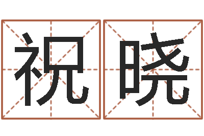 祝晓正命著-会计学习班