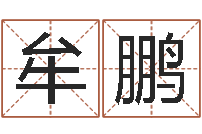 牟鹏学习四柱八字排盘-星象仪歌词