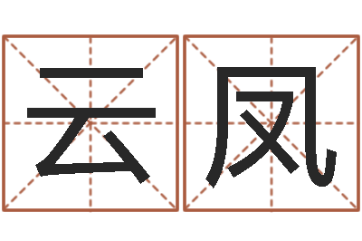 叶云凤天子访-婴儿个性名字