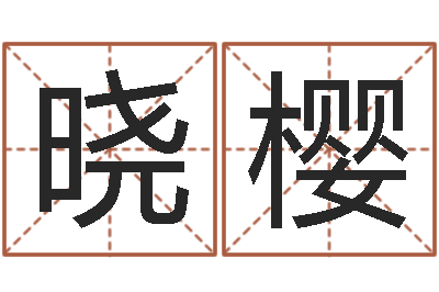 李晓樱什么是水命-好的广告测名公司名字