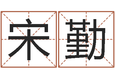宋勤张姓孩子起名-名字打分的网址