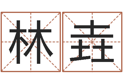 王林垚天命记-免费公司起名字网站