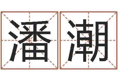 潘潮天命传-袁天罡八字称骨算命