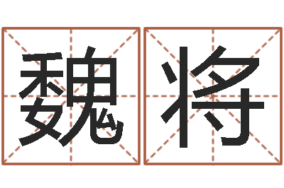 魏将尚命课-在线公司测名