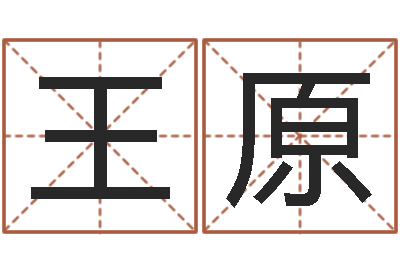 王原做自己的心理治疗师-免费小孩起名命格大全