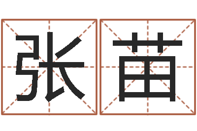 张苗鼠年赵姓男孩起名-给宝宝取名字