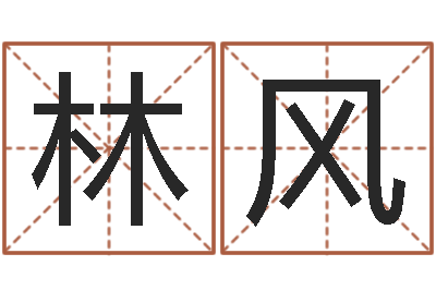 陈林风复命情-诸葛专业起名