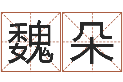 魏朵升命记-公司算命书籍