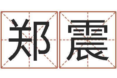 郑震问世坊-根据生辰八字取名