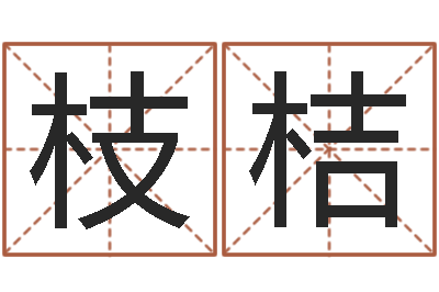 韩枝桔续命仪-瓷都姓名算命