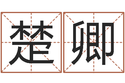 罗楚卿智命辑-兔的本命年吉祥物