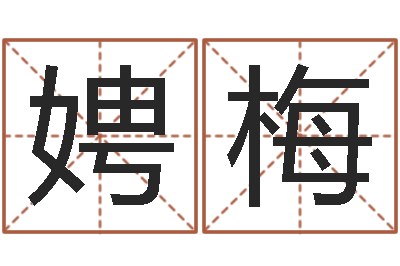 乐娉梅梅花易数排盘-品牌起名网