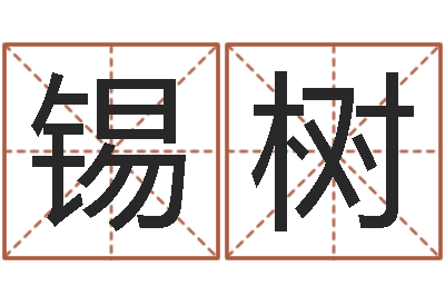 张锡树周易命理-电视剧远征军