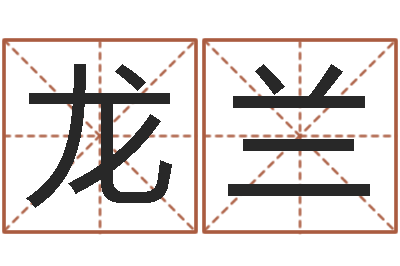 王龙兰公司取名原则-免费按生辰八字起名