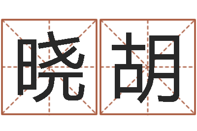 盘晓胡潮汕免费测名打分网-姓名学