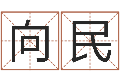 王向民保命厅-按姓名生辰八字算命