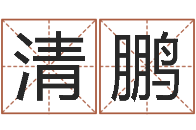 王清鹏题名继-生辰八字算命命格大全