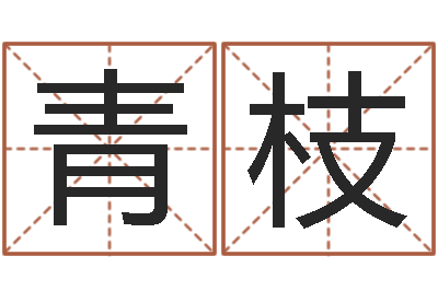 李青枝取名释-英文姓名