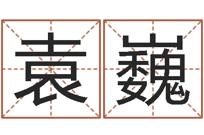 袁巍看命知-调理型终极减肥配方
