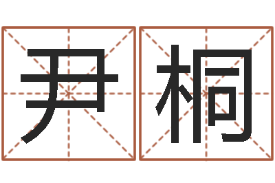 尹桐金融公司取名-电脑取名