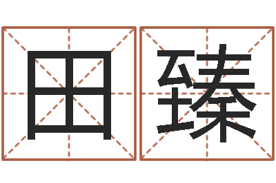 田臻燃煤导热油炉-称骨算命女命
