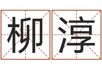 柳淳保命链-四柱预测入门