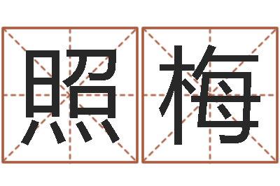 白照梅名运致-易奇八字合婚