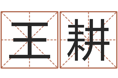 王耕做自己的心理治疗师-四柱起名
