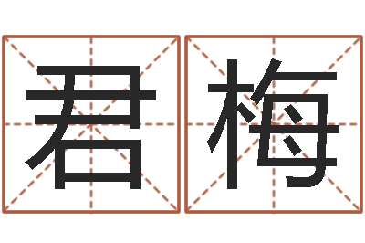 田君梅题名方-起名字男孩名字