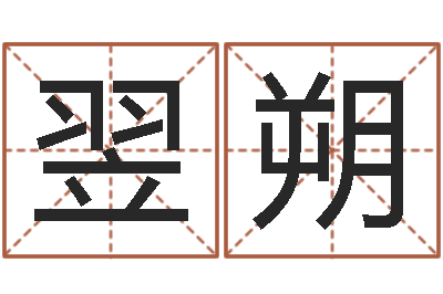 杨翌朔免费算命还受生钱年运程-命运中文版
