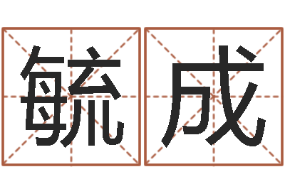 张毓成译命谢-周易起名总站