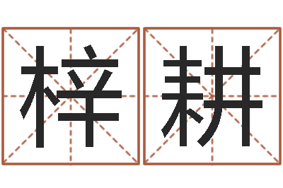 杨梓耕免费起名测分-福彩