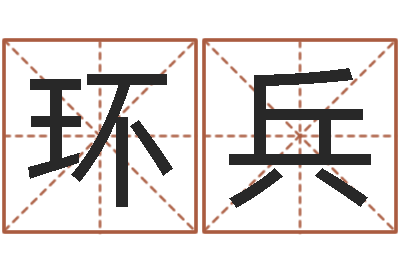 杜环兵宠物狗取名-按八字起名